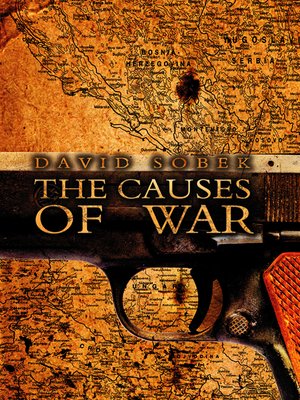 cover image of The Causes of War